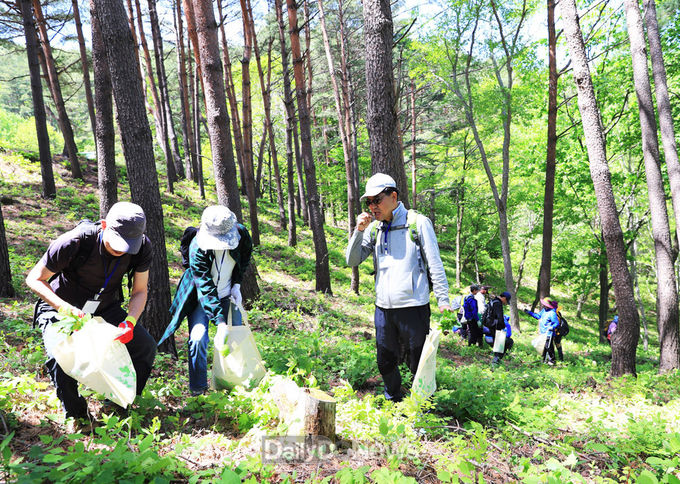 영양산나물 축제