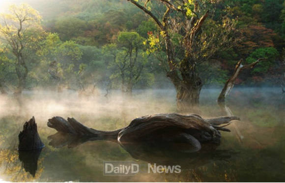 청송주산지(경상북도 제공)