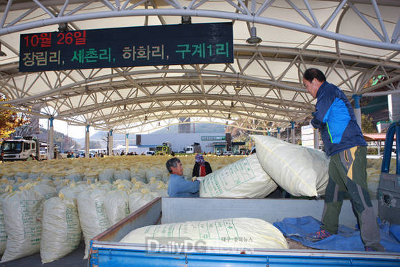 고추수매 현장